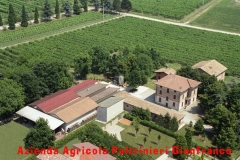 paltrinieri FOTO AEREA